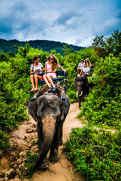 Elephant Ride